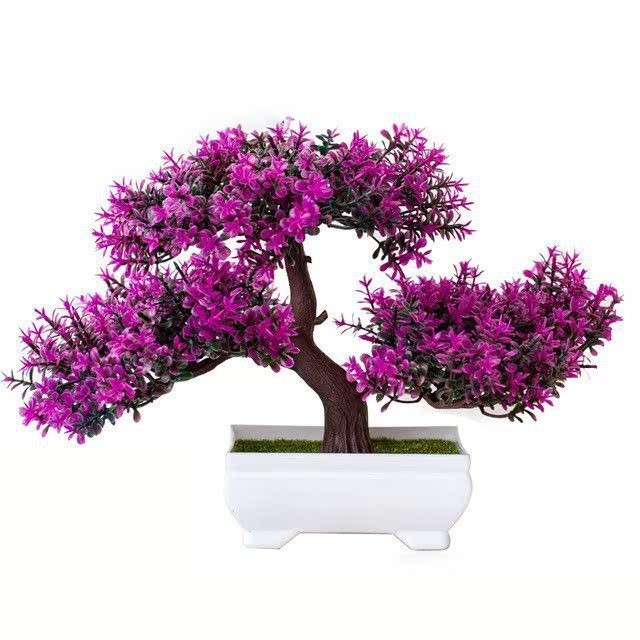 Evergreen Potted Décor — Natural Touch for Any Room