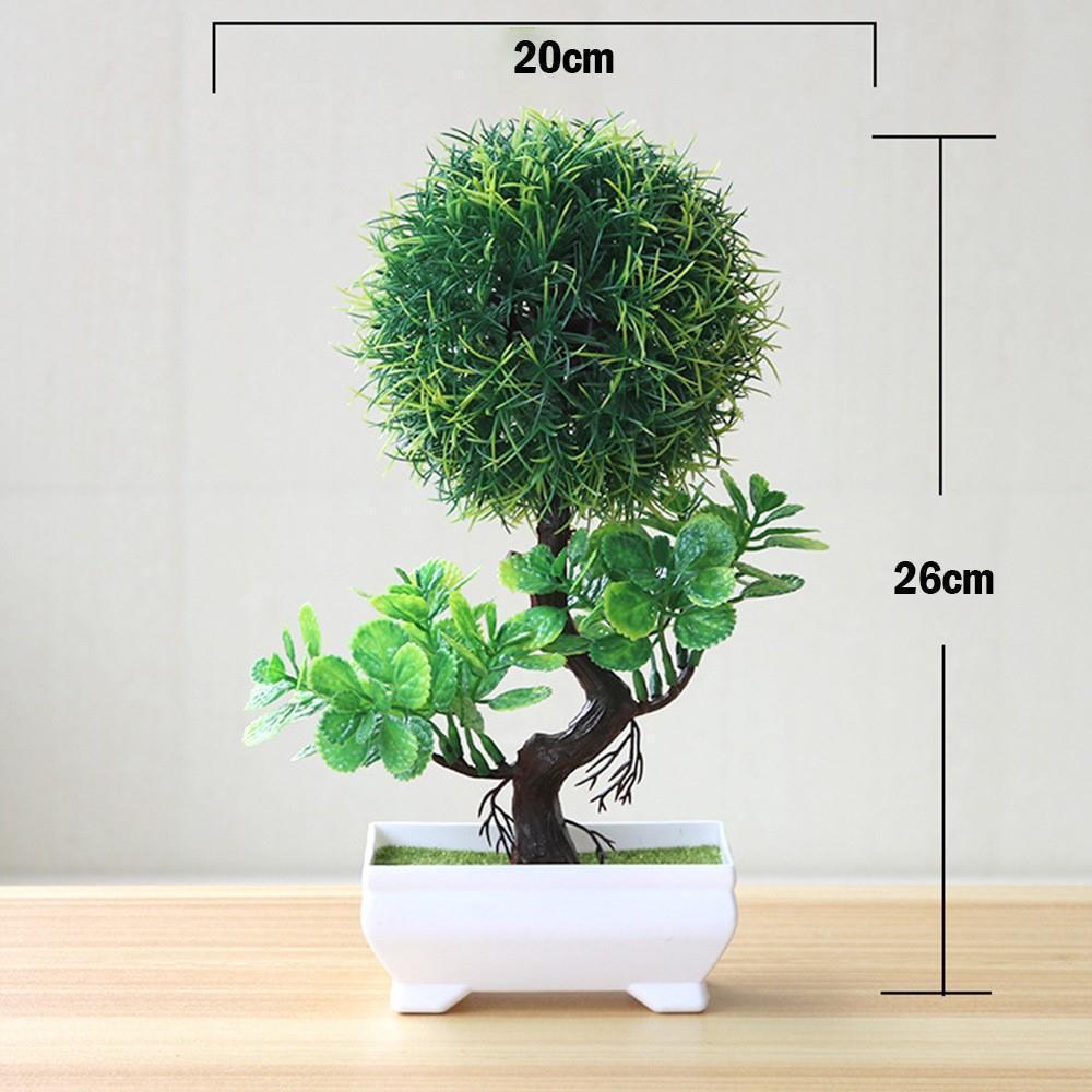 Evergreen Potted Décor — Natural Touch for Any Room
