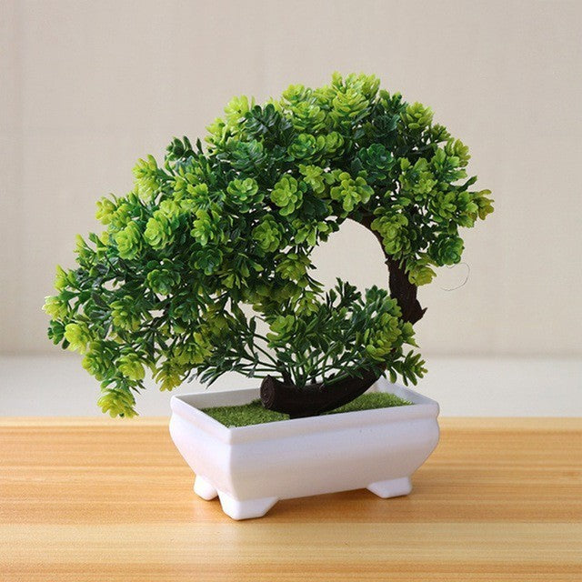 Evergreen Potted Décor — Natural Touch for Any Room