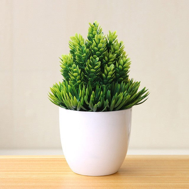 Evergreen Potted Décor — Natural Touch for Any Room