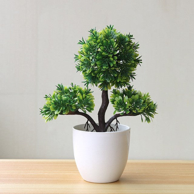 Evergreen Potted Décor — Natural Touch for Any Room