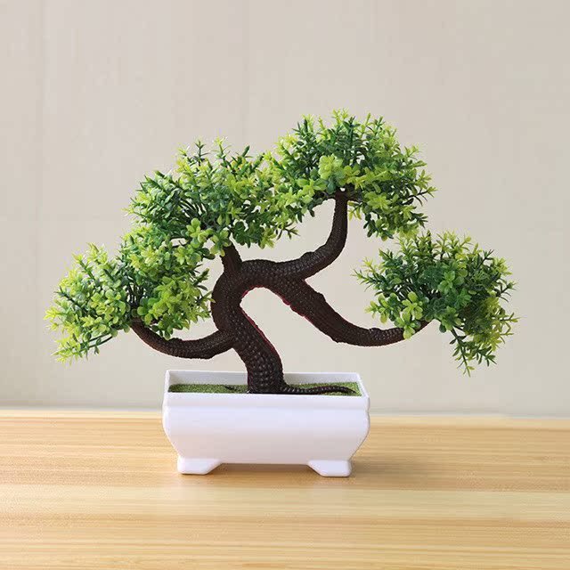 Evergreen Potted Décor — Natural Touch for Any Room