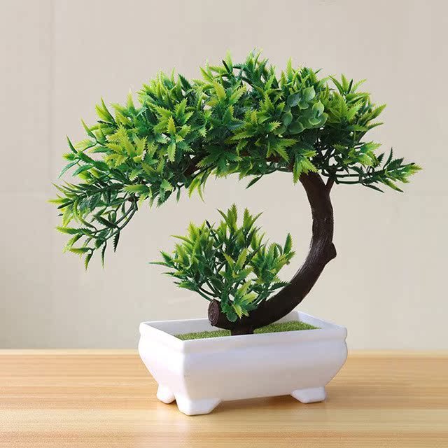 Evergreen Potted Décor — Natural Touch for Any Room