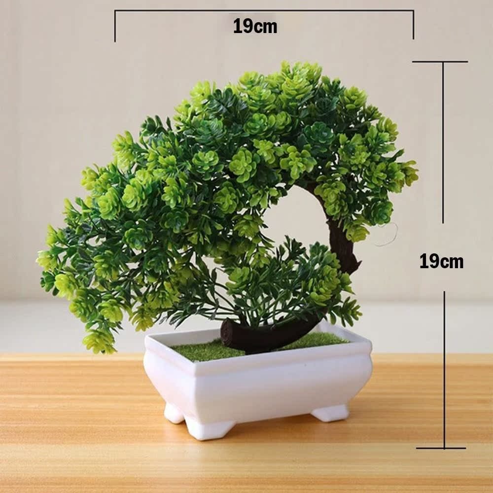 Evergreen Potted Décor — Natural Touch for Any Room