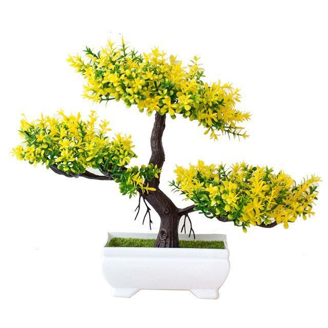 Evergreen Potted Décor — Natural Touch for Any Room