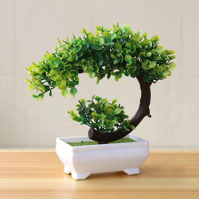 Evergreen Potted Décor — Natural Touch for Any Room