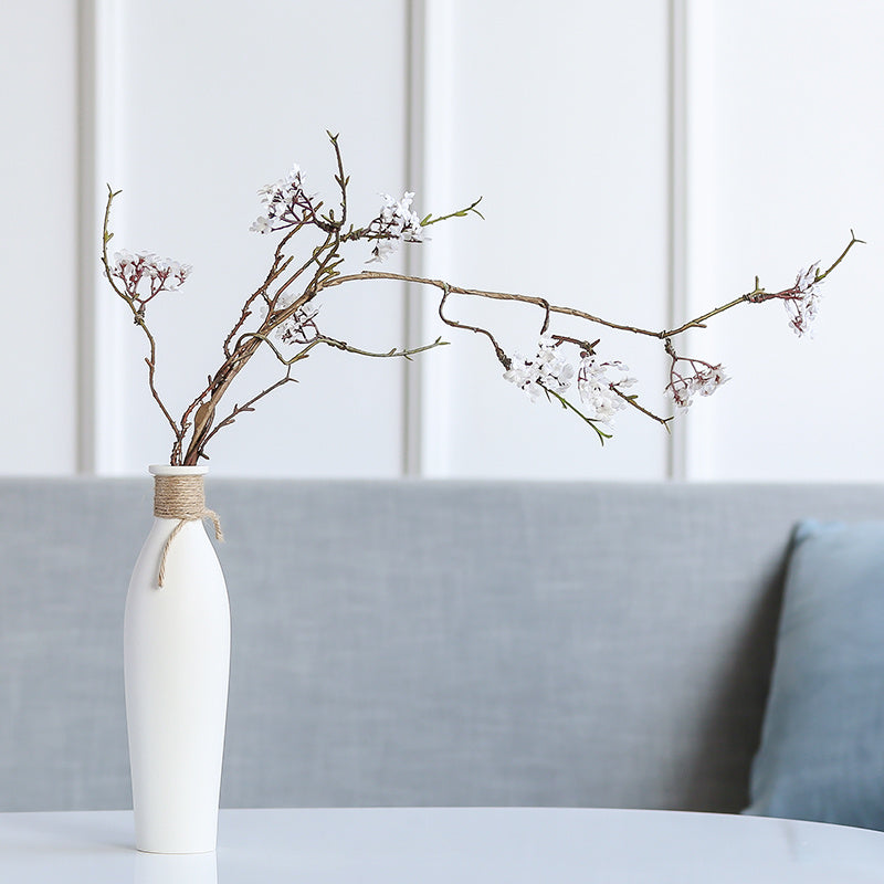 Décor & Accessories