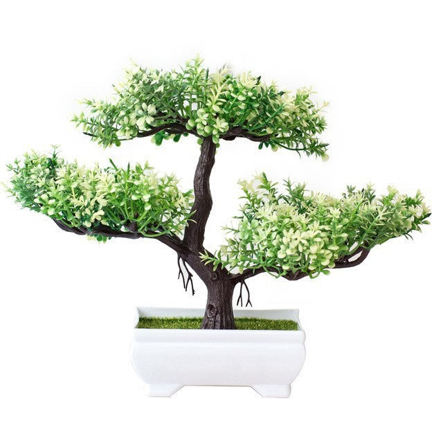 Evergreen Potted Décor — Natural Touch for Any Room