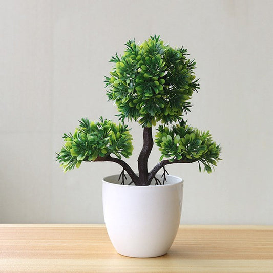 Evergreen Potted Décor — Natural Touch for Any Room
