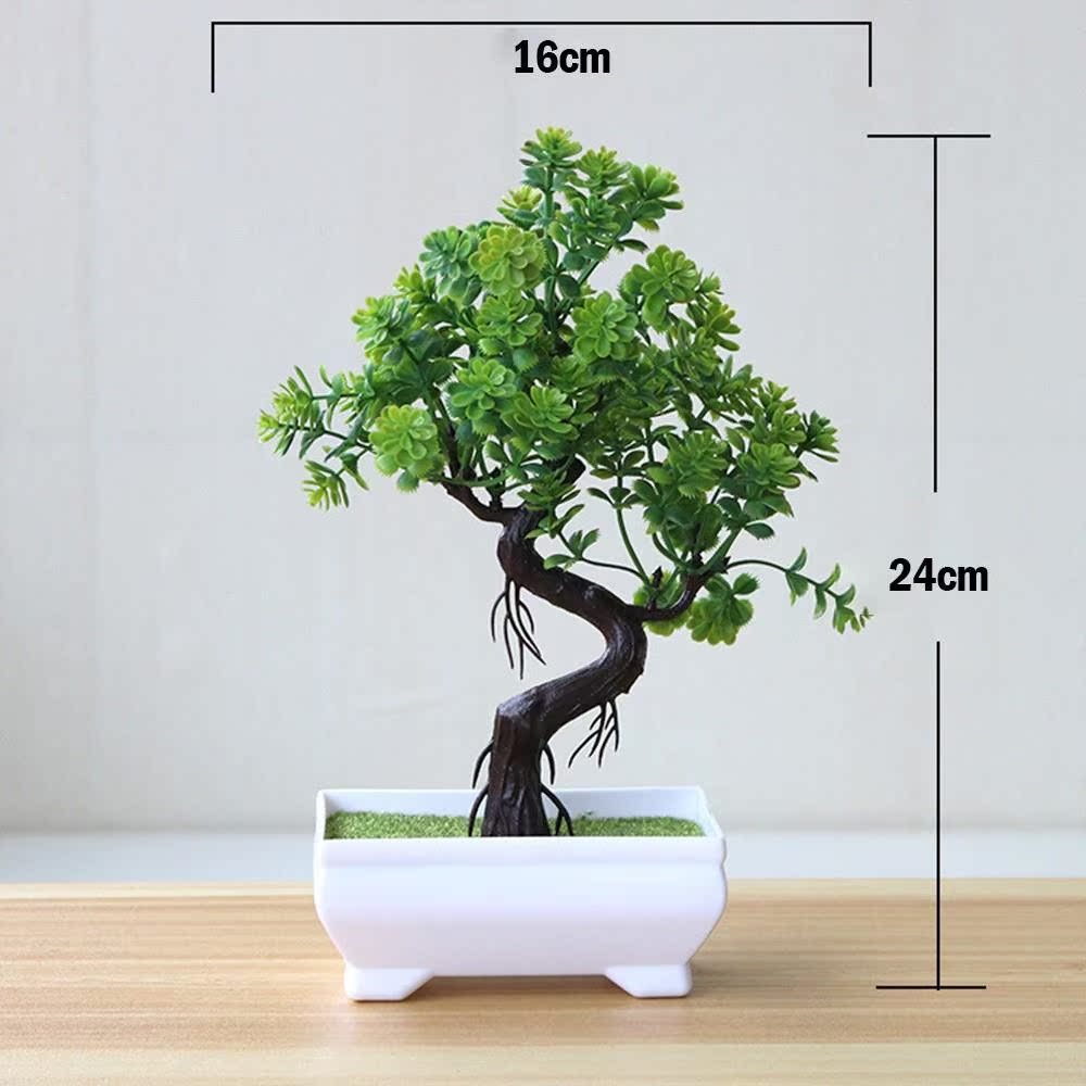 Evergreen Potted Décor — Natural Touch for Any Room