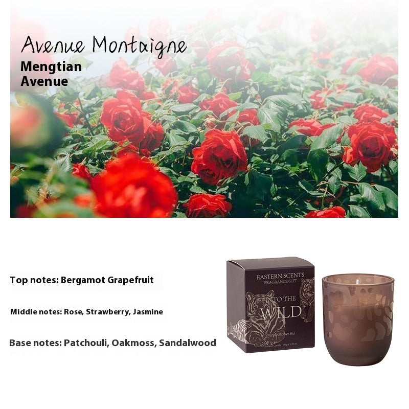 Handmade Scented Candle Set — Cozy Light, Pure Calm