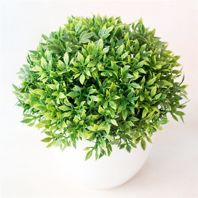 Evergreen Potted Décor — Natural Touch for Any Room