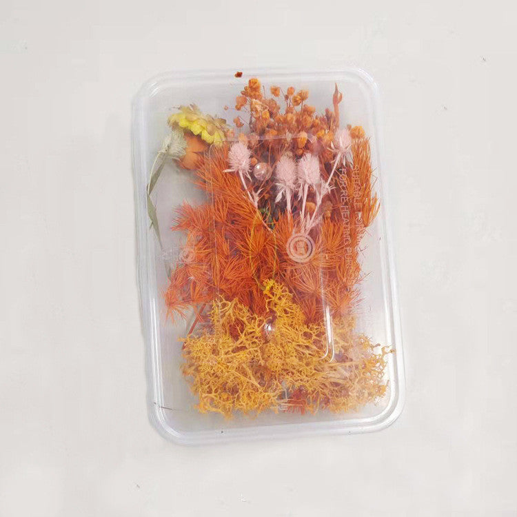 Handmade Floral Frame Kit — Craft Warm, Personal Keepsakes